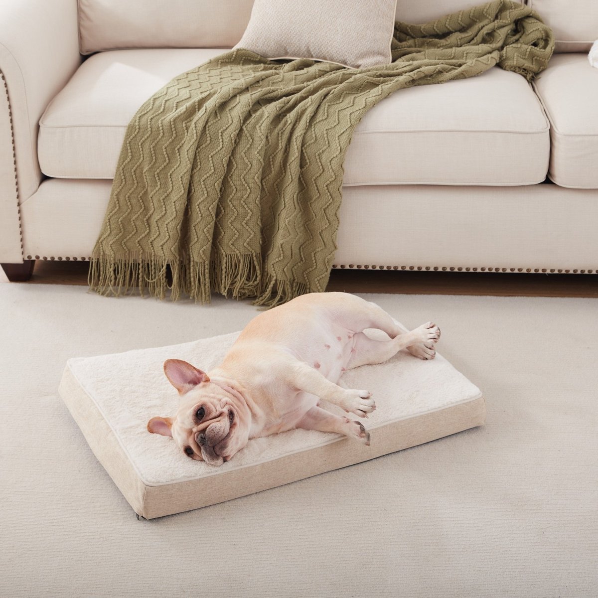 LFC PETS Ultra Comfort Memory Foam Dog Bed with Removable Cover, Beige, Medium