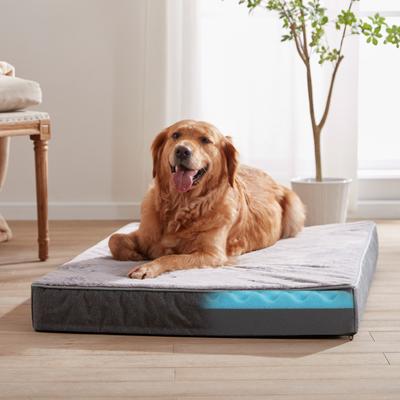 Show full view: LFC PETS Ultra Comfort Memory Foam Dog & Cat Bed with Removable Cover, Grey, Large slide 4 of 11