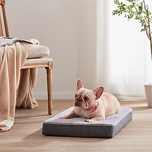 LFC PETS Ultra Comfort Memory Foam Dog & Cat Bed with Removable Cover, Grey, Medium