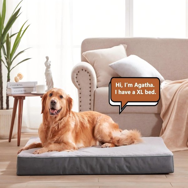 Show full view: LFC PETS Ultra Comfort Memory Foam Dog & Cat Bed with Removable Cover, Grey, X-Large slide 1 of 9