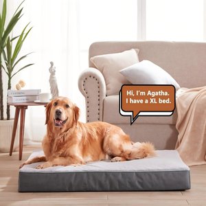 LFC PETS Ultra Comfort Memory Foam Dog & Cat Bed with Removable Cover, Grey, X-Large
