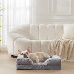 LFC PETS Waterproof Orthopedic Bolster Dog & Cat Sofa Bed with Removable Cover, Grey, Medium