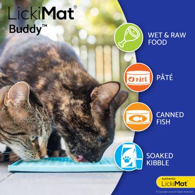 Show full view: LickiMat Classic Buddy Non-Skid Thermoplastic Rubber Cat Bowl, Purple, Standard slide 4 of 6
