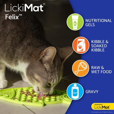 Show full view: LickiMat Felix Non-Skid Thermoplastic Rubber Cat Bowl, Orange, Standard slide 4 of 7