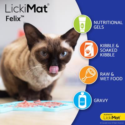 Show full view: LickiMat Felix Non-Skid Thermoplastic Rubber Cat Bowl, Purple, Standard slide 4 of 7