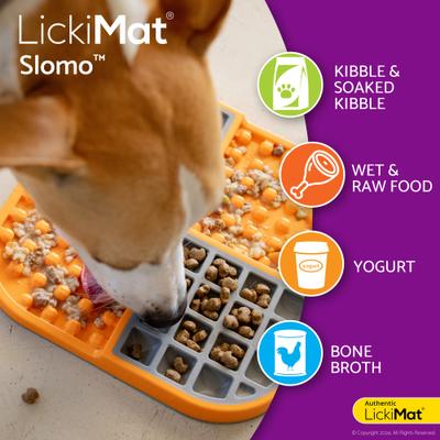 Show full view: LickiMat Slomo Non-Skid Thermoplastic Rubber Dog Bowl, Green, Standard slide 4 of 7