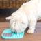 Show in main carousel: LickiMat Slomo Non-Skid Thermoplastic Rubber Dog Bowl, Turquoise, Standard slide 5 of 7