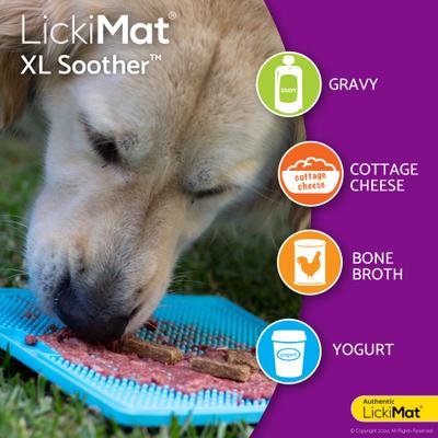 Show full view: LickiMat Soother Non-Skid Thermoplastic Rubber Dog Bowl, Green, X-Large slide 4 of 4