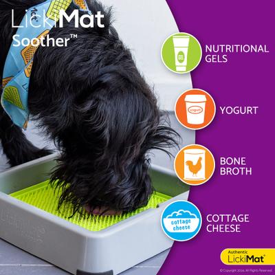 Show full view: LickiMat Soother Non-Skid Thermoplastic Rubber Dog Bowl, Orange slide 4 of 6