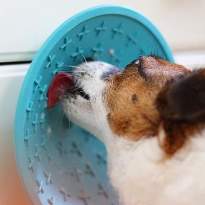 Show full view: LickiMat Splash Non-Skid Thermoplastic Rubber Dog Bowl, Turquoise slide 6 of 8