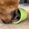 Show in main carousel: LickiMat Yoggie Pot BPA-Free Rubber Dog Bowl, Green, Standard slide 9 of 11