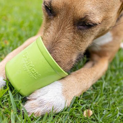 Show full view: LickiMat Yoggie Pot BPA-Free Rubber Dog Bowl, Green, Standard slide 5 of 11