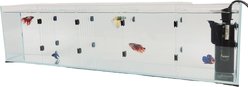 Lifegard Acrylic Dividers tank model R460041 & R460081, 22-gal slide 2 of 7