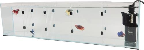 Show full view: Lifegard Acrylic Dividers tank model R460041 & R460081, 22-gal slide 2 of 7