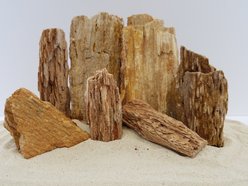 Lifegard Burma Petrified Stone 10 Gallon Kit