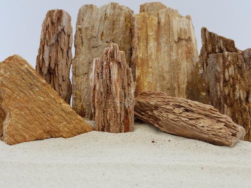 Show full view: Lifegard Burma Petrified Stone 10 Gallon Kit slide 2 of 4