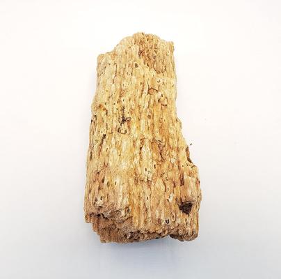 Show full view: Lifegard Burma Petrified Stone 25 Gallon Kit slide 5 of 9