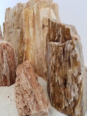 Show full view: Lifegard Burma Petrified Stone 25 Gallon Kit slide 6 of 9