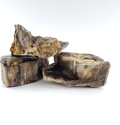 Show full view: Lifegard Canyon Petrified Stone 10 Gallon Kit slide 3 of 4
