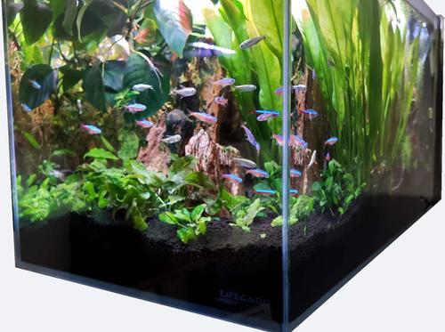 Show full view: Lifegard Crystal Aquarium with Side Filter, 3.8-gal slide 9 of 9