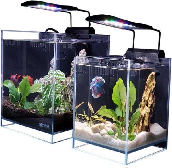 Lifegard Crystal Elevated Betta Aquarium
