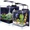 Show in main carousel: Lifegard Crystal Elevated Betta Aquarium, 1.2-gal slide 6 of 8