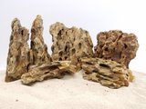 Lifegard Dragon Songpi Ohko Rock 10 Gallon Kit