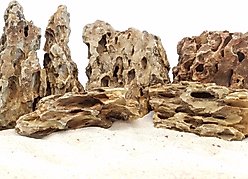 Lifegard Dragon Songpi Ohko Rock 10 Gallon Kit slide 2 of 5