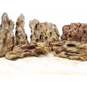 Lifegard Dragon Songpi Ohko Rock 10 Gallon Kit
