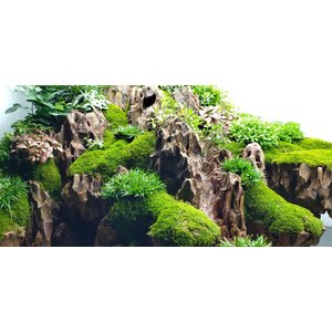 Lifegard Dragon Songpi Ohko Rock 10 Gallon Kit