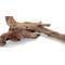 Show in main carousel: Lifegard Drift Wood Aquarium Decoration, Medium slide 1 of 3