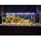 Show in main carousel: Lifegard Full Spectrum Led Aquarium Light, Black, 18-in slide 2 of 9
