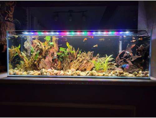 Show full view: Lifegard Full Spectrum Led Aquarium Light, Black, 18-in slide 2 of 9