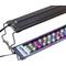 Show in main carousel: Lifegard Full Spectrum Led Aquarium Light, Black, 24-in slide 1 of 6