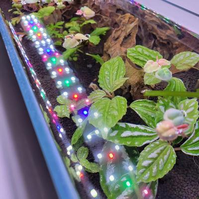 Show full view: Lifegard Full Spectrum Led Aquarium Light, Black, 72-in slide 7 of 9