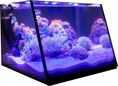 Show full view: Lifegard Full View Aquarium Kit with Submersible Filter, 7-gal slide 7 of 7