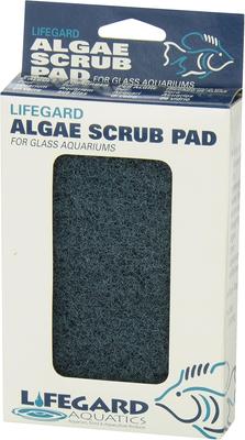 Show full view: Lifegard Glass Aquarium Algae Pad, Blue, Large slide 6 of 6