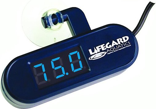 Lifegard Led Digital Thermometer, Blue