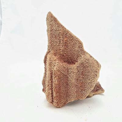 Show full view: Lifegard Redwood Petrified Stone 25 Gallon Kit slide 6 of 10