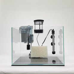 Lifegard Clear Glass Rimless Aquarium with HOF-2 Hang On Filter, 5-mm, 5-gal slide 2 of 9