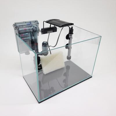 Show full view: Lifegard Clear Glass Rimless Aquarium with HOF-2 Hang On Filter, 5-mm, 5-gal slide 4 of 10