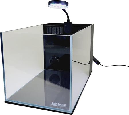 Show full view: Lifegard CRYSTAL Peninsula Beveled Edge Low Iron Aquarium with Built in Side Filter, 5-mm, 3.8-gal slide 5 of 8
