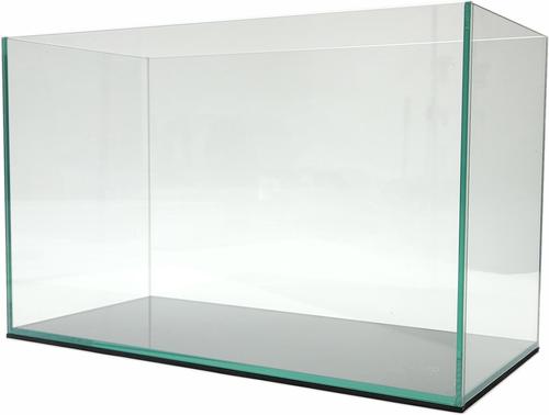 Show full view: Lifegard Long Clear Glass Bookshelf Aquarium, 5-mm, 5-gal slide 6 of 10
