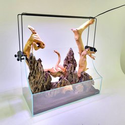 Lifegard Low Iron Ultra Clear Glass Terrarium/Paludarium Kit with LED Light, 5-mm, 3.6-gal slide 1 of 9