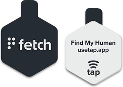 Lifekey Digital Dog ID Tag, Black slide 2 of 5