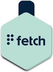 Lifekey Digital Dog ID Tag, Mint