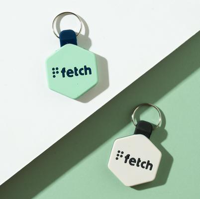 Show full view: Lifekey Mini Digital Dog ID Tag, Mint slide 2 of 4