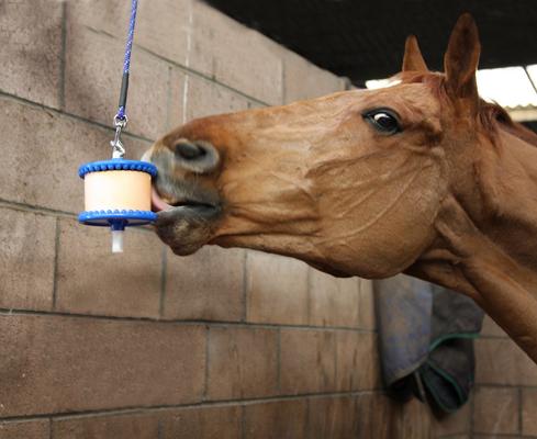 Show full view: Likit Starter Kit Horse Treats slide 2 of 5