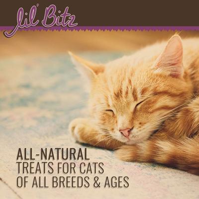 Show full view: Lil' Bitz Chicken & Liver Cat Treats, 3-oz bag slide 6 of 10