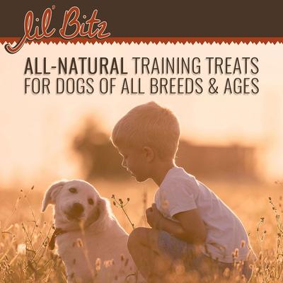 Show full view: Lil' Bitz Hickory Smoked Beef Training Dog Treats, 4-oz bag slide 6 of 8